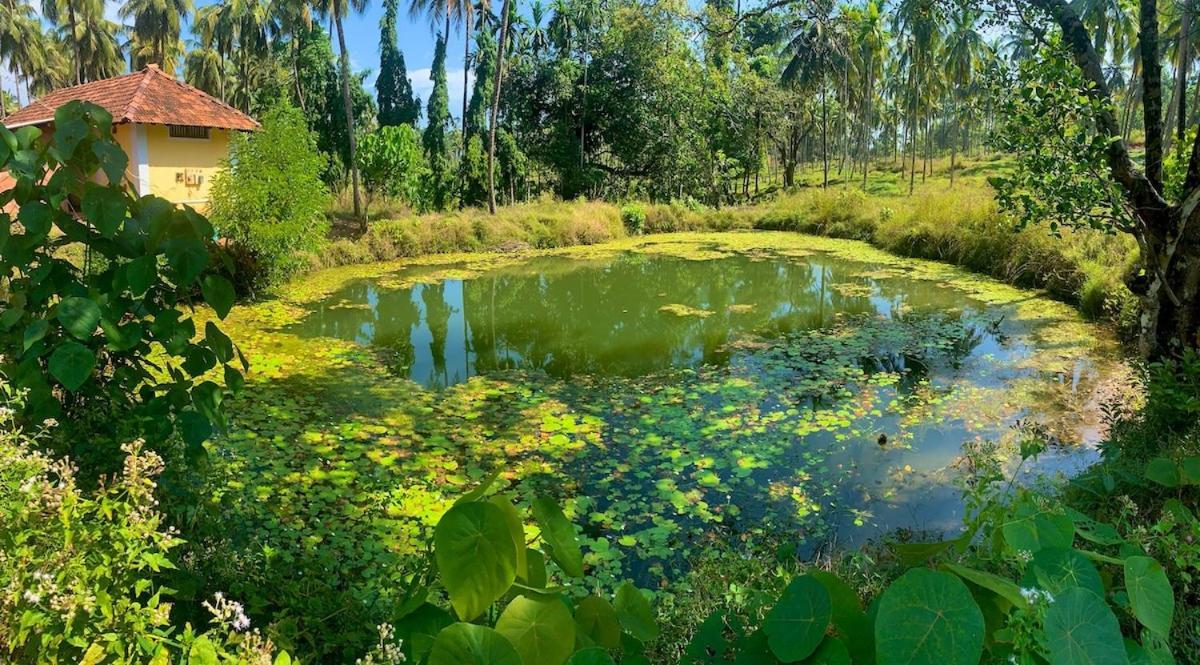 Monappa Estate - Top Rated - Luxury Villa Udupi Exteriör bild