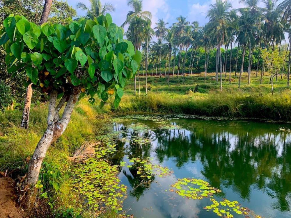 Monappa Estate - Top Rated - Luxury Villa Udupi Exteriör bild